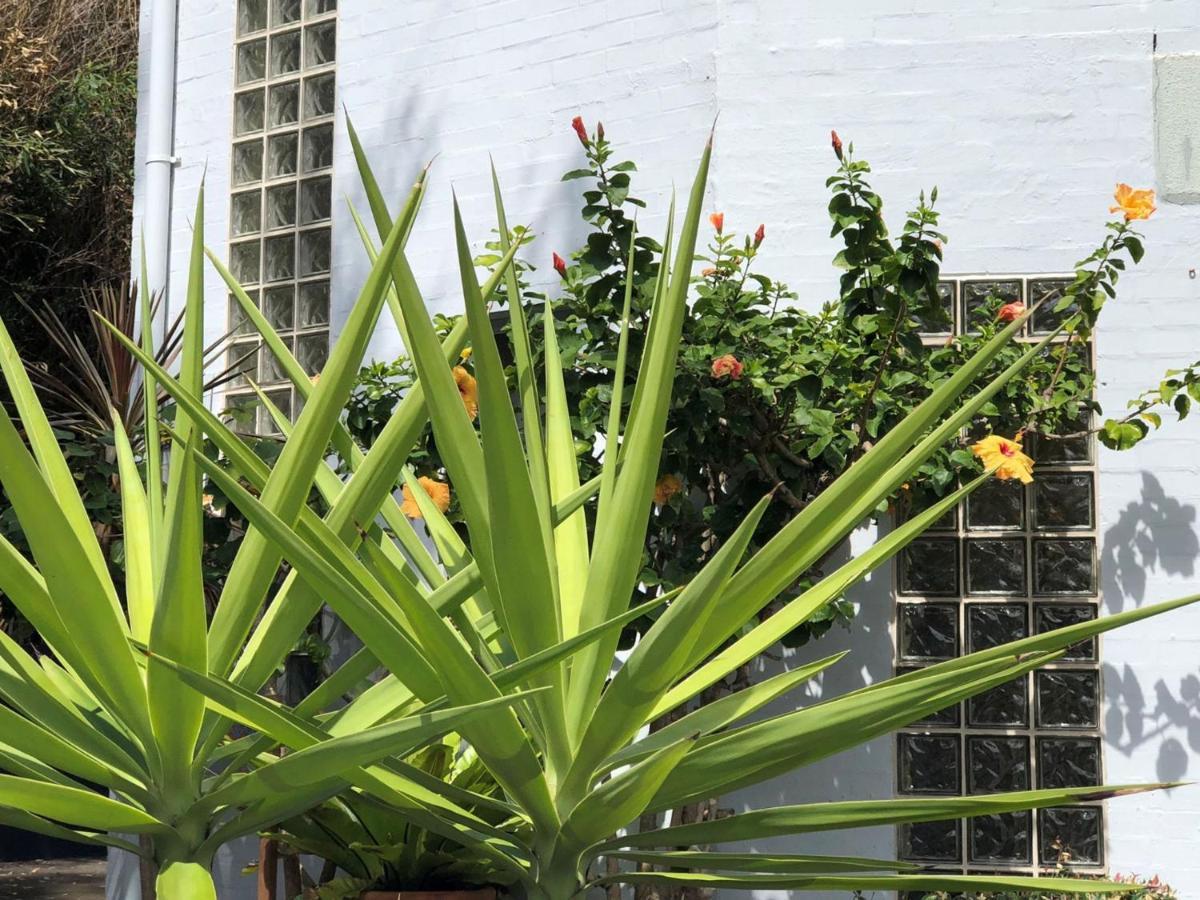 بلويز بيتش Blueys Motel المظهر الخارجي الصورة